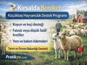 Kırsalda Bereket Küçükbaş Hayvancılık Desteği Nedir? Şartları ve Başvuru Rehberi