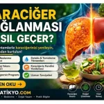 Karaciğer Yağlanması Nasıl Geçer? En Etkili Yöntemler, Beslenme ve Tedavi Rehberi