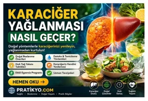 Karaciğer Yağlanması Nasıl Geçer? En Etkili Yöntemler, Beslenme ve Tedavi Rehberi