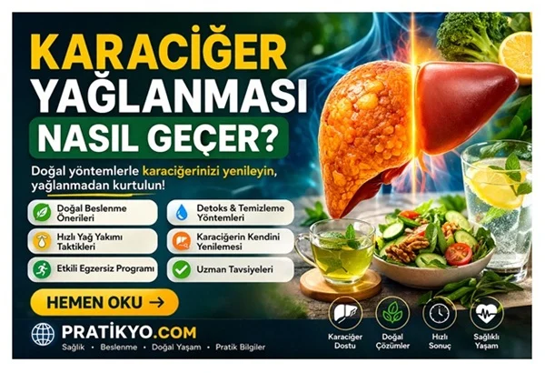 Karaciğer Yağlanması Nasıl Geçer? En Etkili Yöntemler, Beslenme ve Tedavi Rehberi