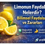 Limonun Faydaları Nelerdir? Limonun Bilimsel Faydaları ve Olası Zararları (2026)