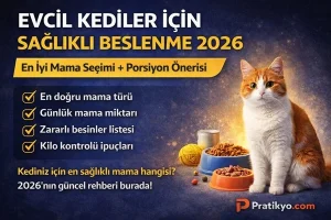 Evcil Kediler İçin Sağlıklı Beslenme Rehberi (2026)