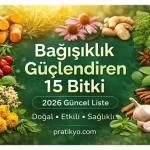 Bağışıklık Güçlendiren 15 Bitki (2026 Güncel Liste)