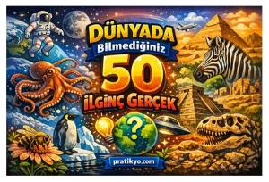 Dünyada Bilmediğiniz 50 İlginç Gerçek