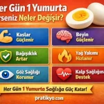 Her Gün 1 Haşlanmış Yumurta Yerseniz Ne Olur?
