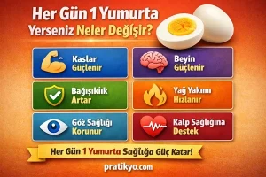 Her Gün 1 Haşlanmış Yumurta Yerseniz Ne Olur?