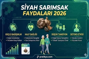 Siyah Sarımsak Faydaları 2026: Normal Sarımsaktan Farkı ve Kokusuz Süper Gıda Rehberi