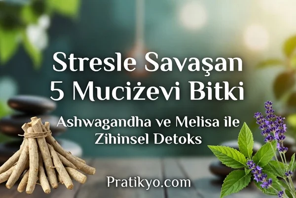 Stresle Savaşan 5 Mucizevi Bitki: Ashwagandha ve Melisa ile Zihinsel Detoks | Doğal Rahatlama Rehberi