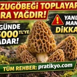 Kuzugöbeği Toplayarak Para Kazanma (2026) – Nerede Bulunur