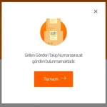 Kargo Takip Numarası Çalışmıyor mu? İşte Bunun Gerçek Sebepleri