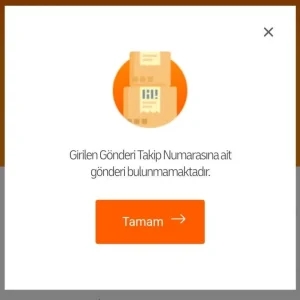Kargo Takip Numarası Çalışmıyor mu? İşte Bunun Gerçek Sebepleri