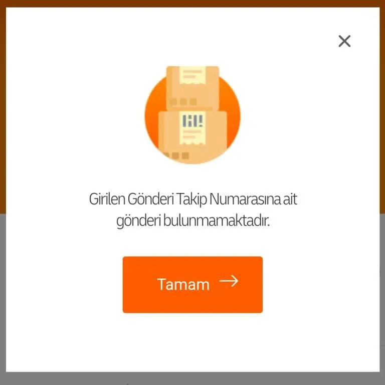 Kargo Takip Numarası Çalışmıyor mu? İşte Bunun Gerçek Sebepleri